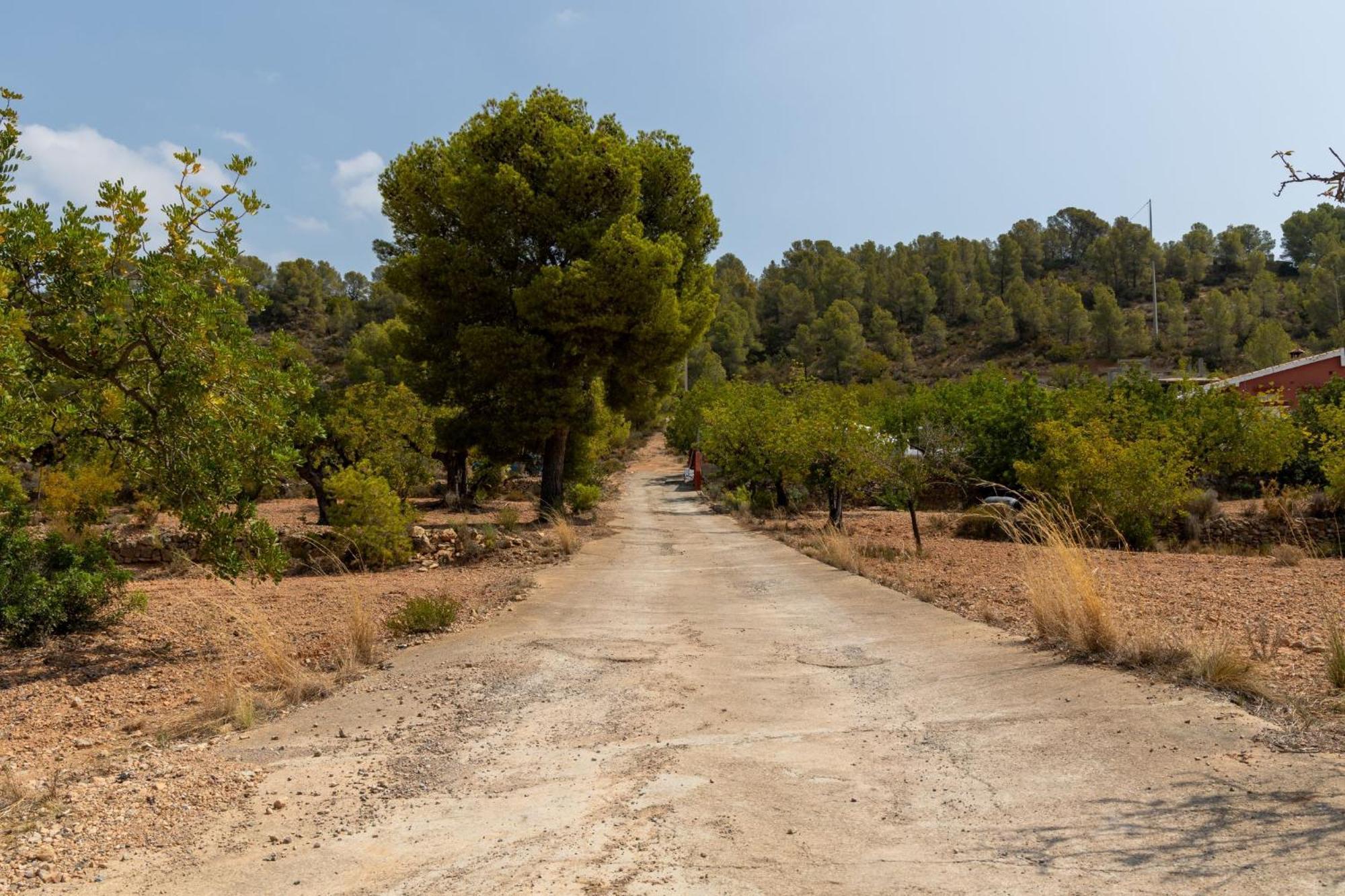 Finca El Escondite Olocau Eksteriør billede